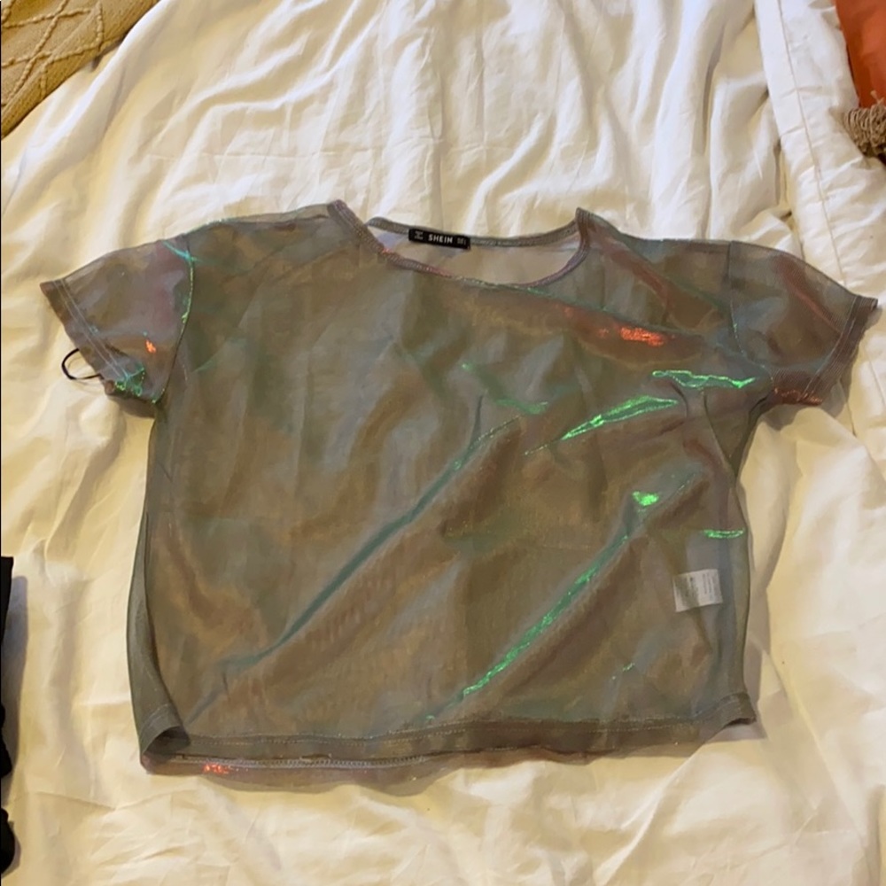 Sheer Crop Top